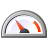 speedup flag